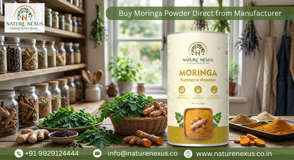 Buy Moringa Powder Direct from Manufacturer