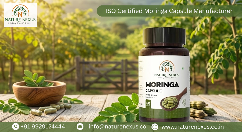 ISO Certified Moringa Capsule Manufacturer 