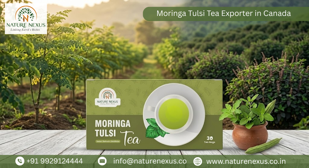 Moringa Tulsi Tea Exporter in Canada